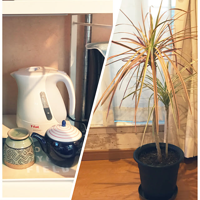 ariceさんの実例写真