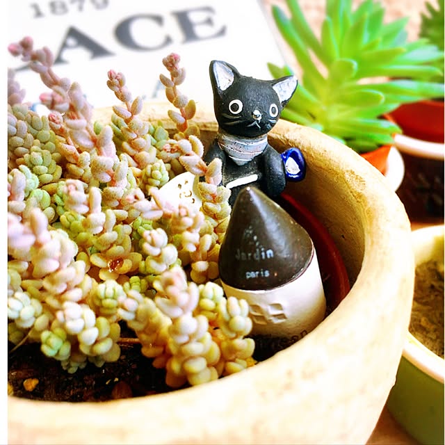 mintcatさんの実例写真
