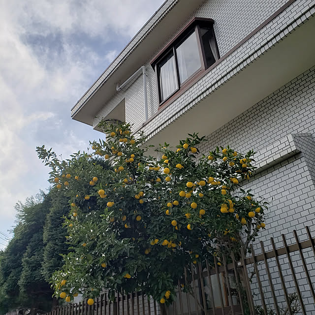 Mayumi8888さんの実例写真