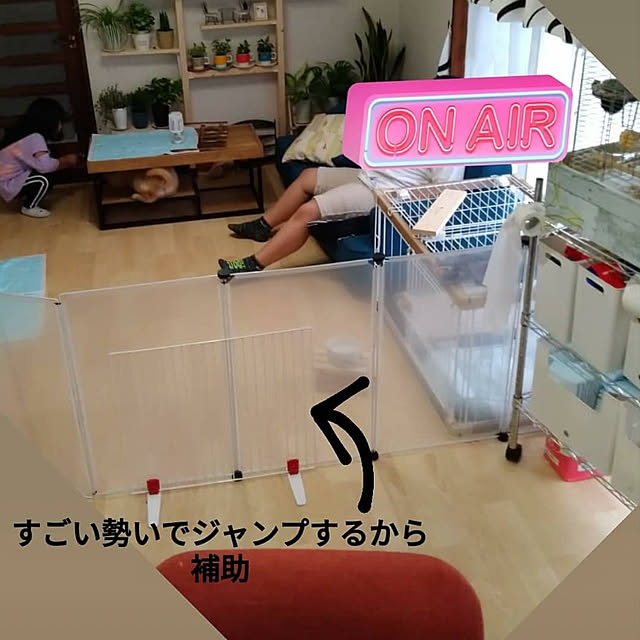 saya147kaさんの実例写真