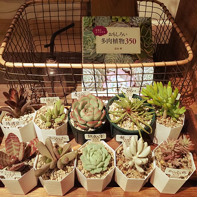 marley0209さんの実例写真