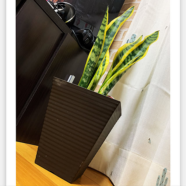 Ryanさんの実例写真