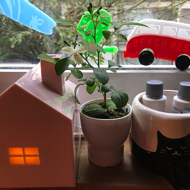 keiko.goma.3571さんの実例写真