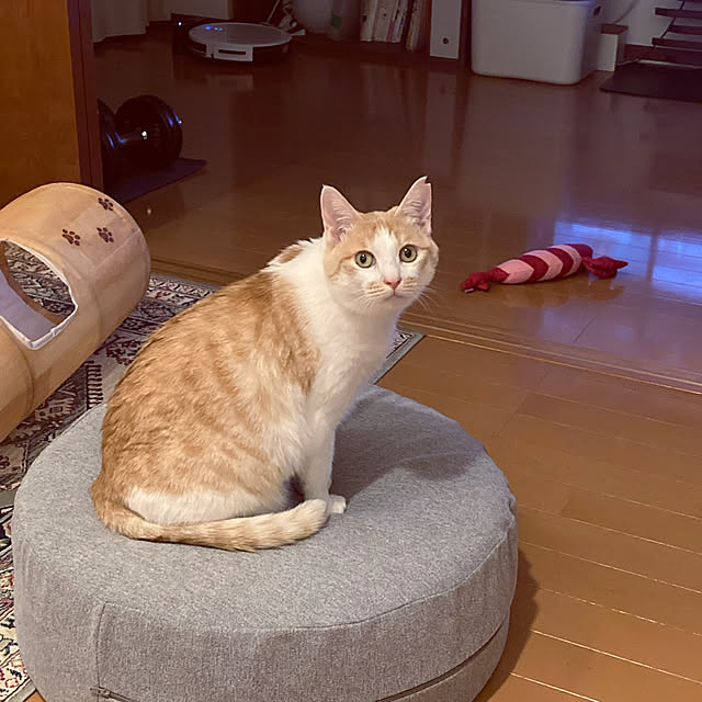 Maron0430さんの実例写真