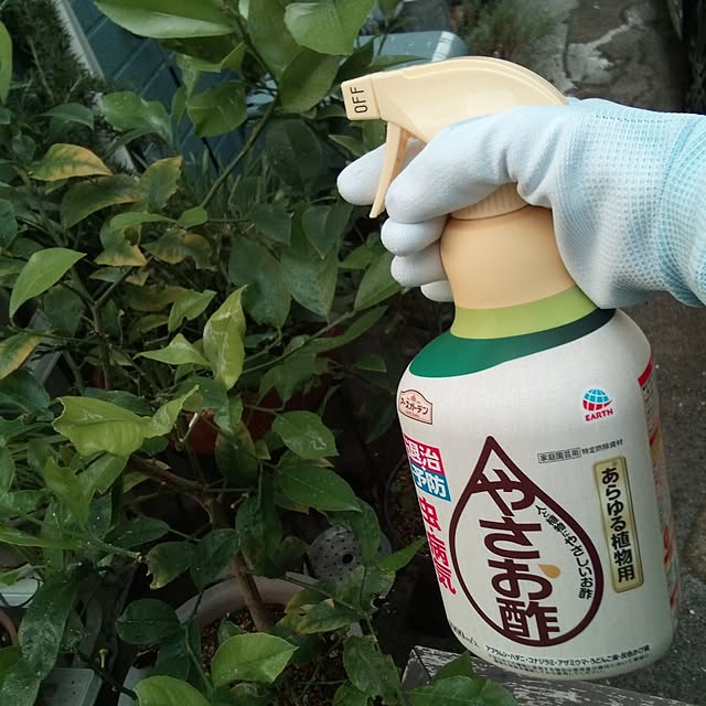 mariagardenさんの実例写真