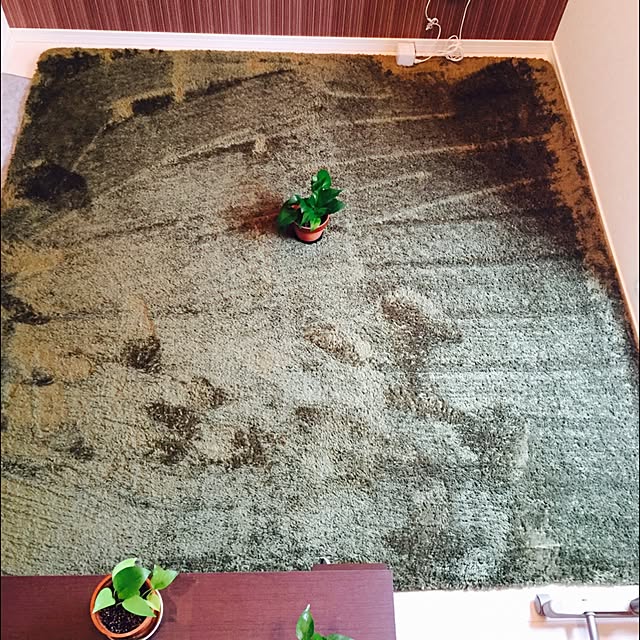 NKGさんの実例写真