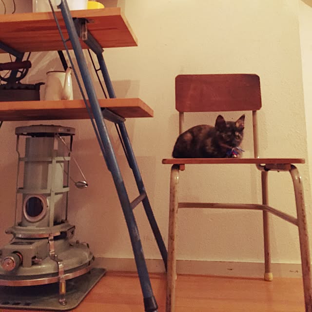 Sachiさんの実例写真