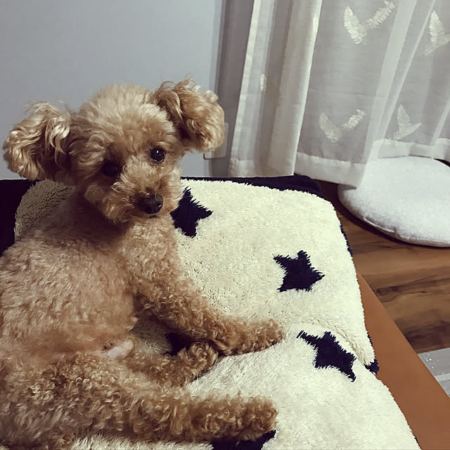 Royさんの実例写真