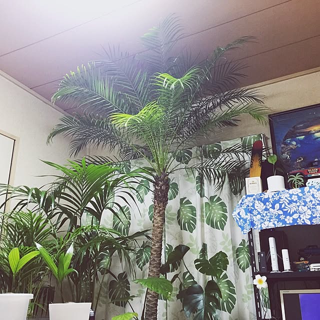 HauOliさんの実例写真
