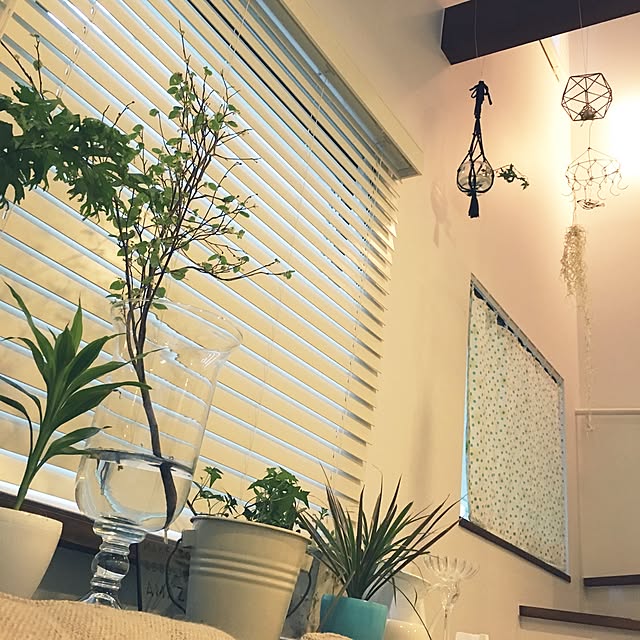 studio-bloomさんの実例写真