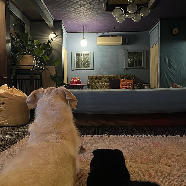 joshua.treeさんの実例写真