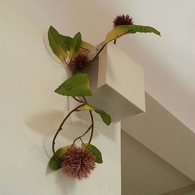 naoさんの実例写真