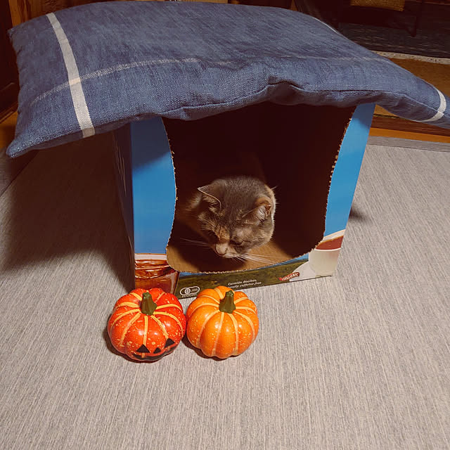 fukuさんの実例写真