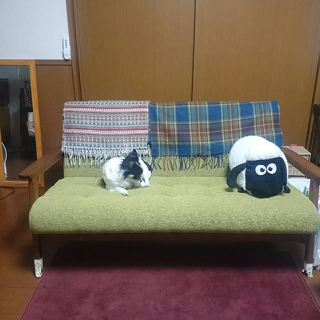 dorugavaさんの実例写真