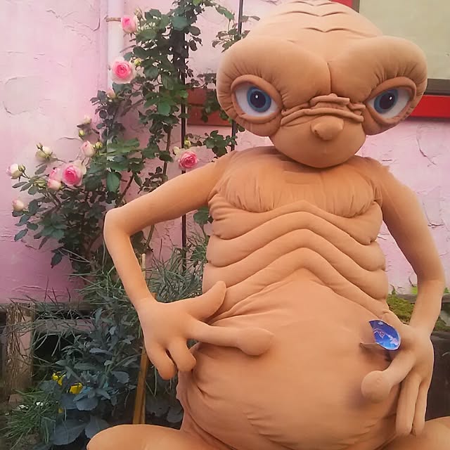 ganamiさんの実例写真