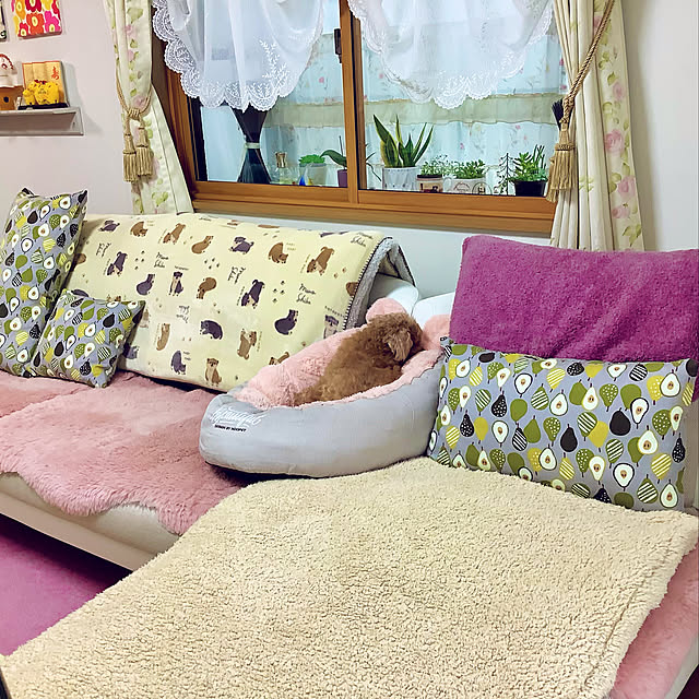 haruminさんの実例写真
