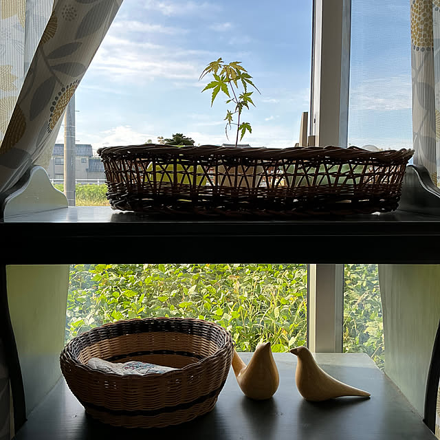 chiiyanさんの部屋