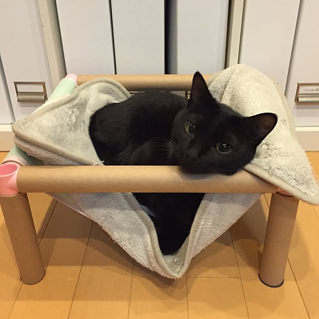 yuki0511さんの実例写真
