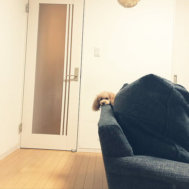 akiasaさんの実例写真