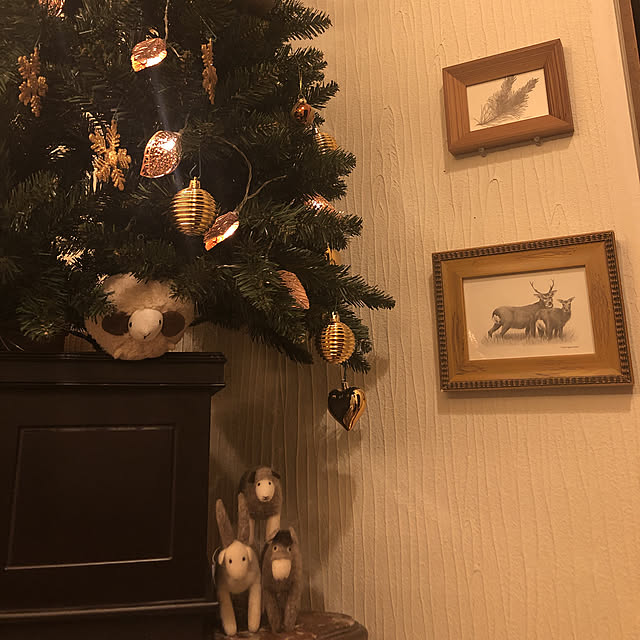 dijieさんの実例写真