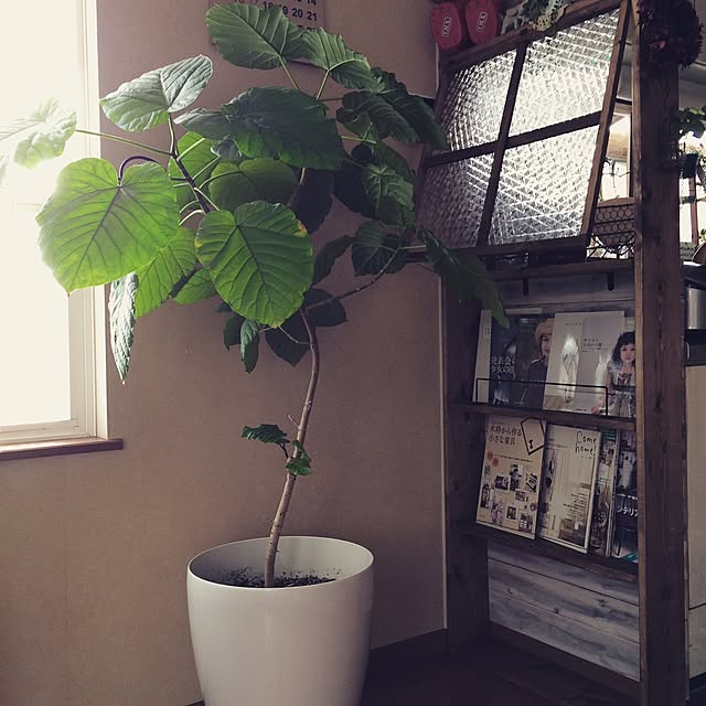 Chiyomiさんの実例写真