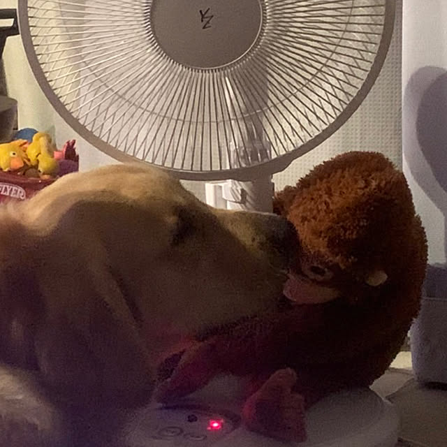 marinkoさんの実例写真