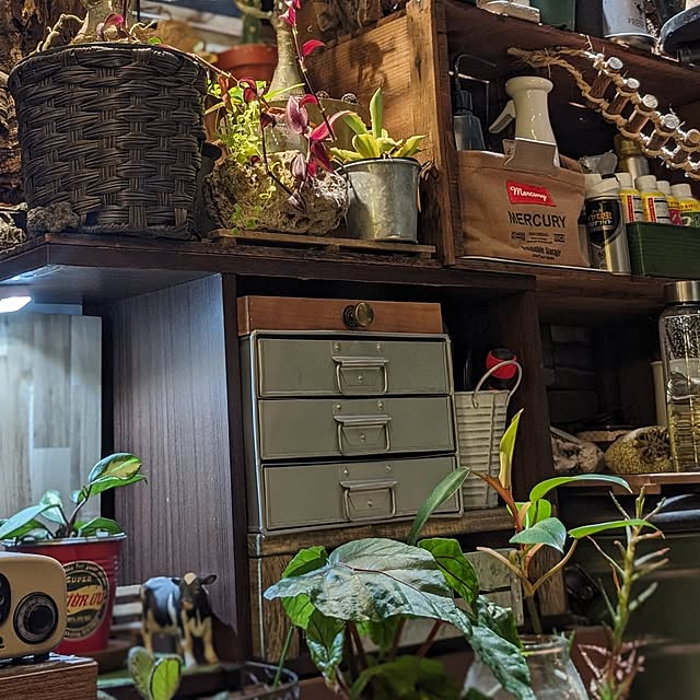 GINさんの実例写真