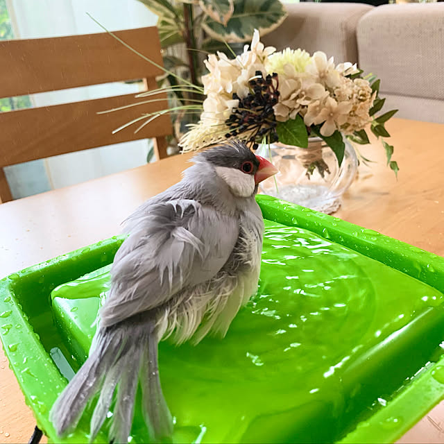Tenさんの実例写真