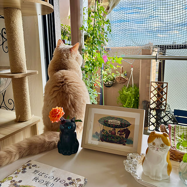 naokoさんの実例写真