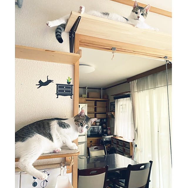 Lufuさんの実例写真