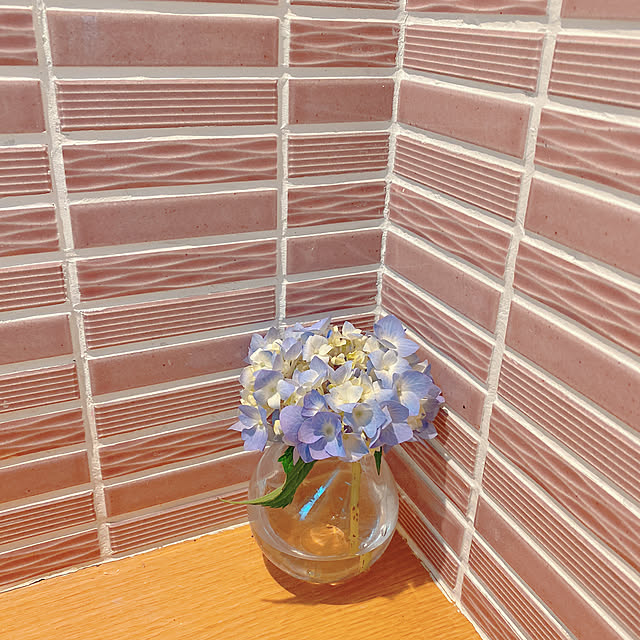 Blue_grayさんの実例写真