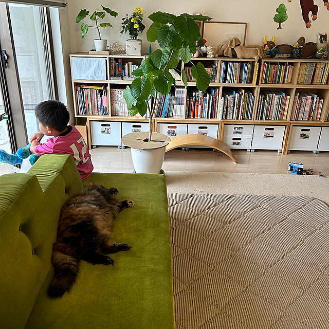 mikomaruさんの部屋