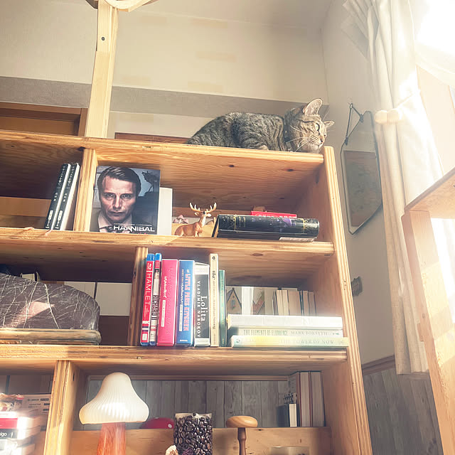 Mさんの部屋
