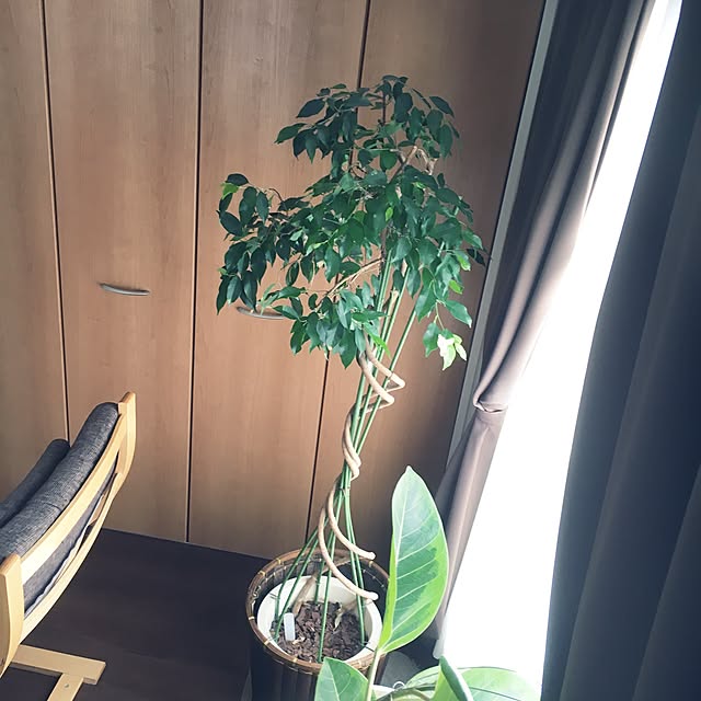 tomさんの実例写真