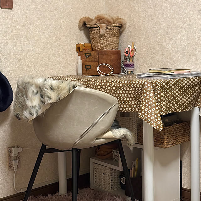 canetteさんの実例写真