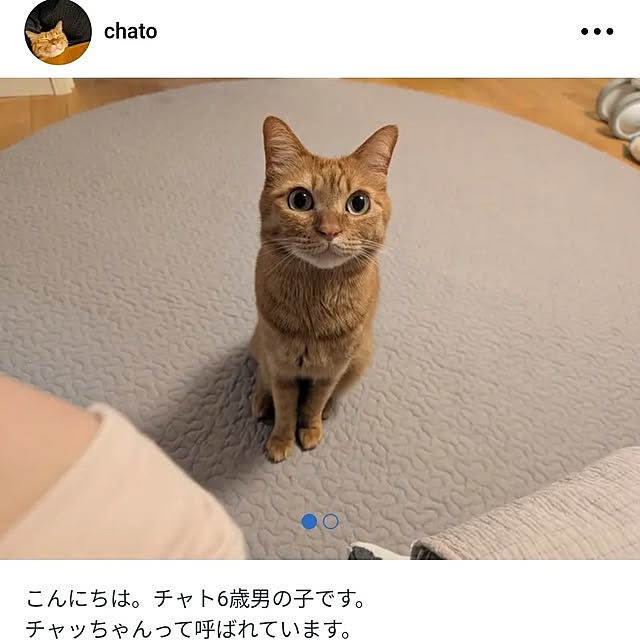 poteさんの実例写真