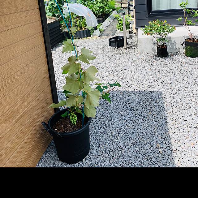 hirayahouse101さんの部屋