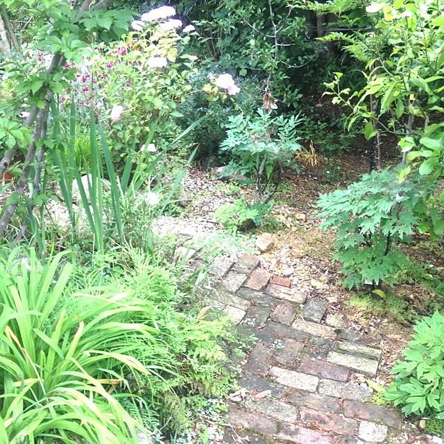 実例写真