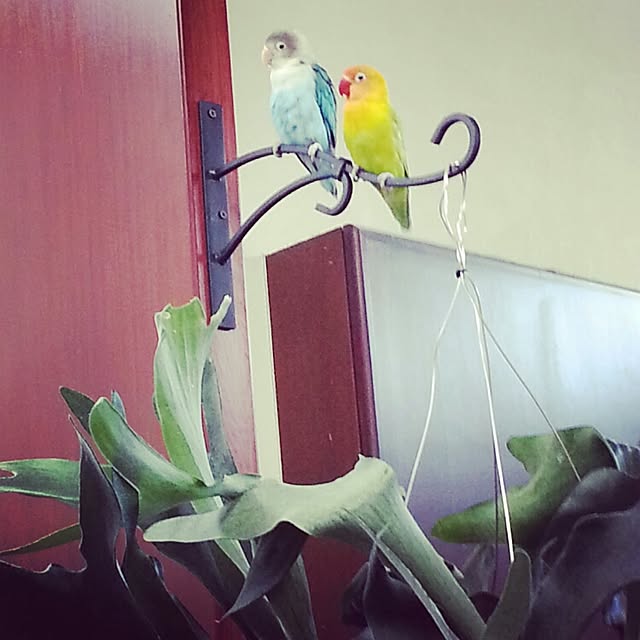 okameさんの実例写真