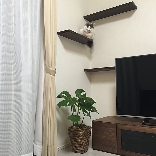 chakoooooooさんの実例写真