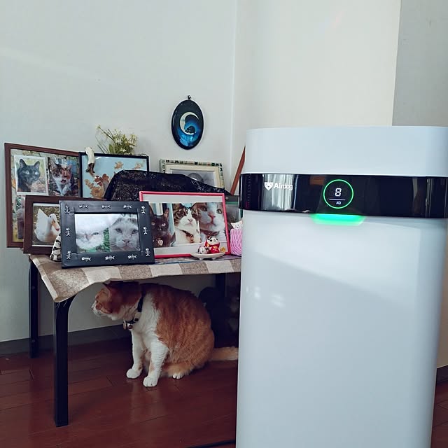 NOAHさんの実例写真