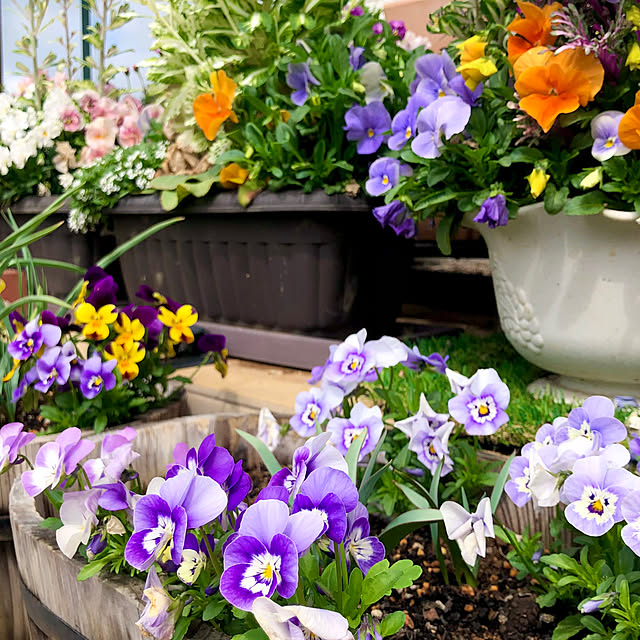 tomoさんの実例写真