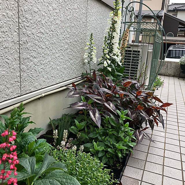 実例写真