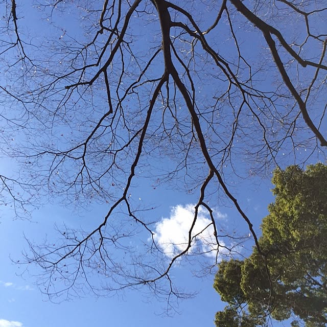 nontanさんの実例写真