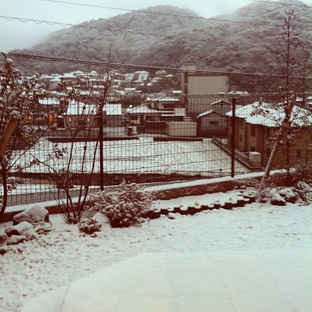 kiichigoさんの実例写真