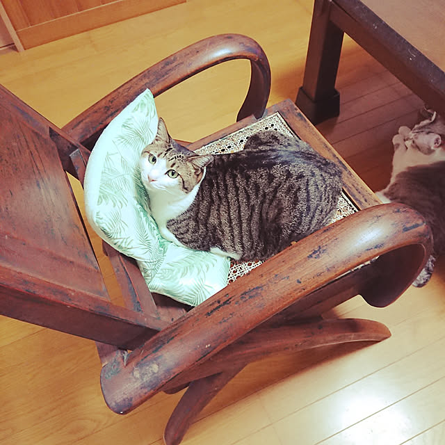 nachiさんの実例写真