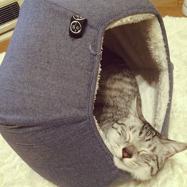 Esunoさんの実例写真