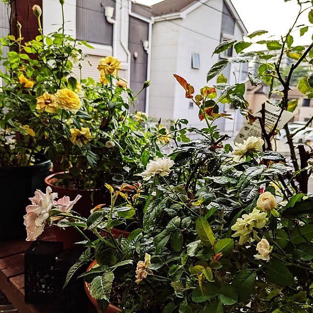 kazuさんの部屋