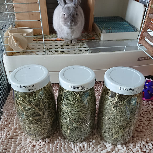 yokomokoさんの実例写真