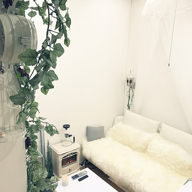 earlさんの実例写真